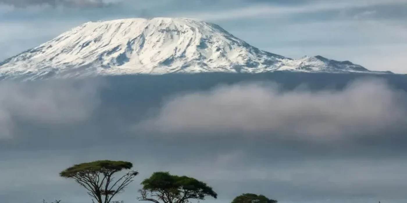 kilimanjaro@2x
